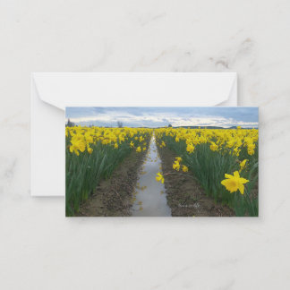 Daffodil Field Note Card