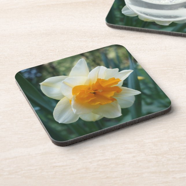 Daffodil Flower Beverage Coaster (Left Side)