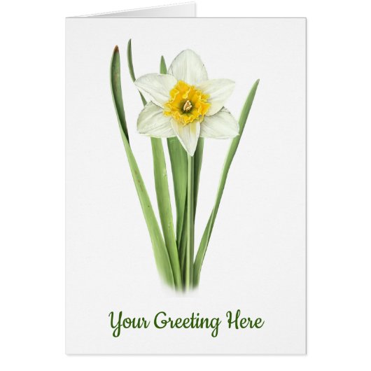 Daffodil Flower Cards (Front)