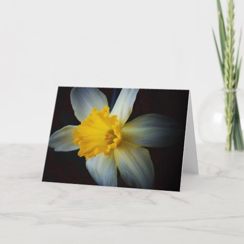 Daffodil Flower in the Light Note Card