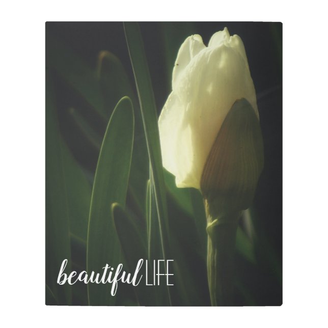 Daffodil Flower Photo Beautiful Life Metal Print (Front)