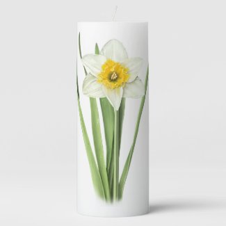 Daffodil Flower