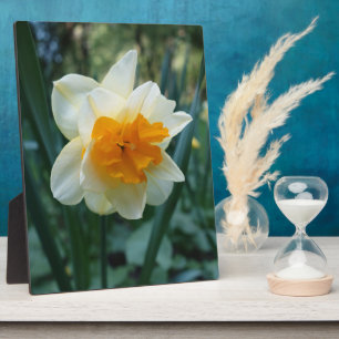 Daffodil Flower Plaque