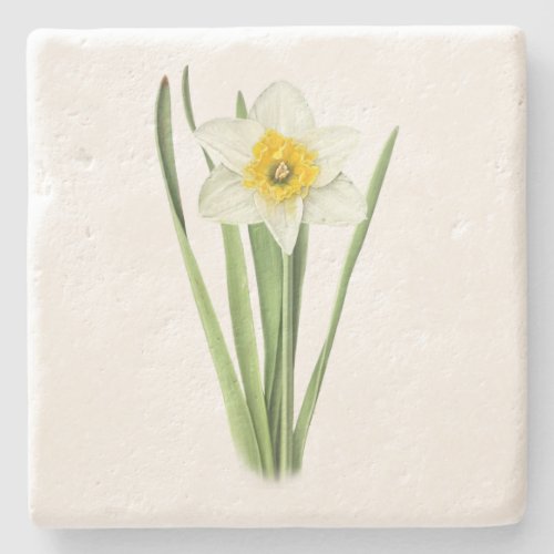 Daffodil Flower Stone Coaster