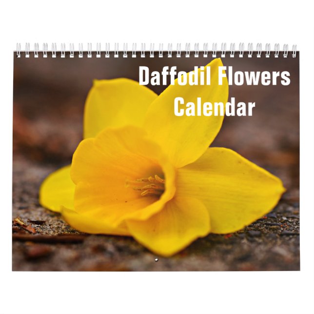 Daffodil Flowers 2026 Calendar (Cover)