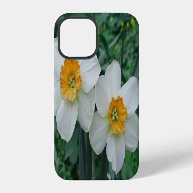 Daffodil Flowers Iphone Case (Back)