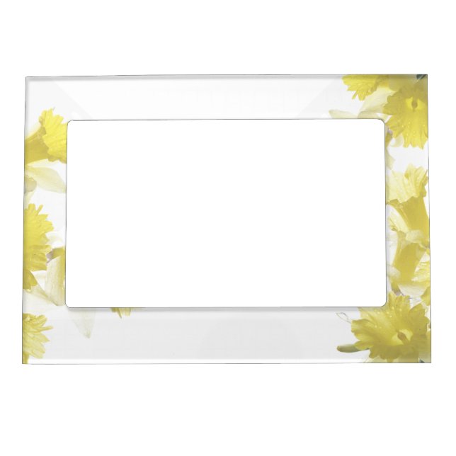 Daffodil Flowers Magnetic Frame (Front)