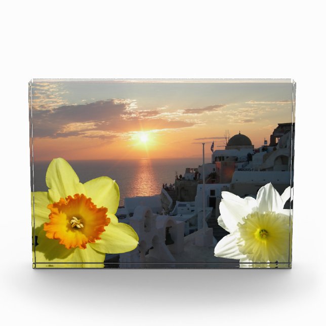 Daffodil Flowers Photo Block (Front)