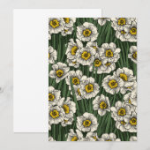 Daffodil garden (Front/Back)