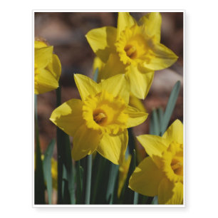 Daffodil Garden Temporary Tattoos