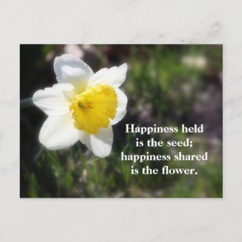 Daffodil Happiness Photography & Quote Postcard by time2see at Zazzle