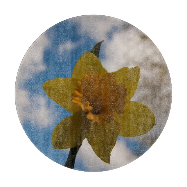 Daffodil in spring cutting board (Front)