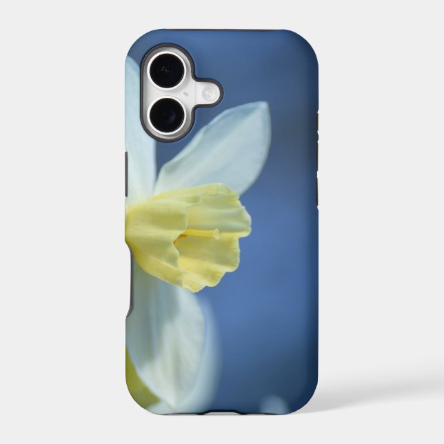 Daffodil in Spring Iphone Case (Back)