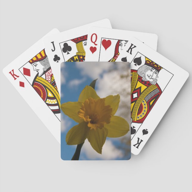 Daffodil in spring poker cards (Back)