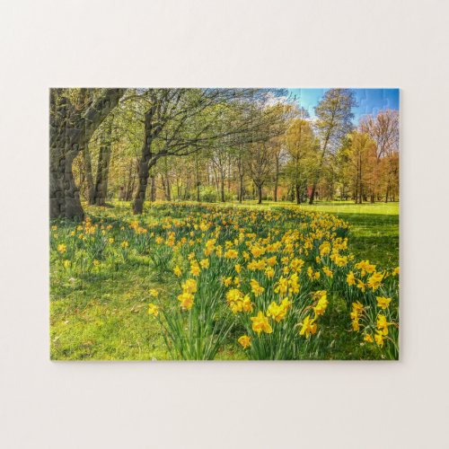 DAFFODIL JIGSAW PUZZLE