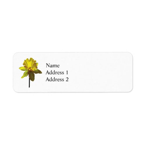 Daffodil Looking Up Label