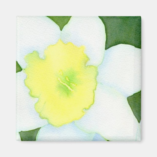 Daffodil Magnet (Front)