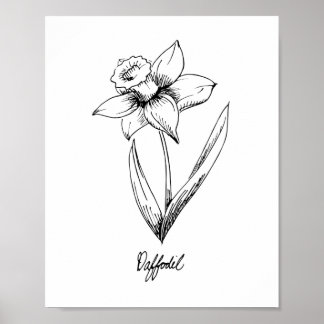Daffodil March Birthday Poster