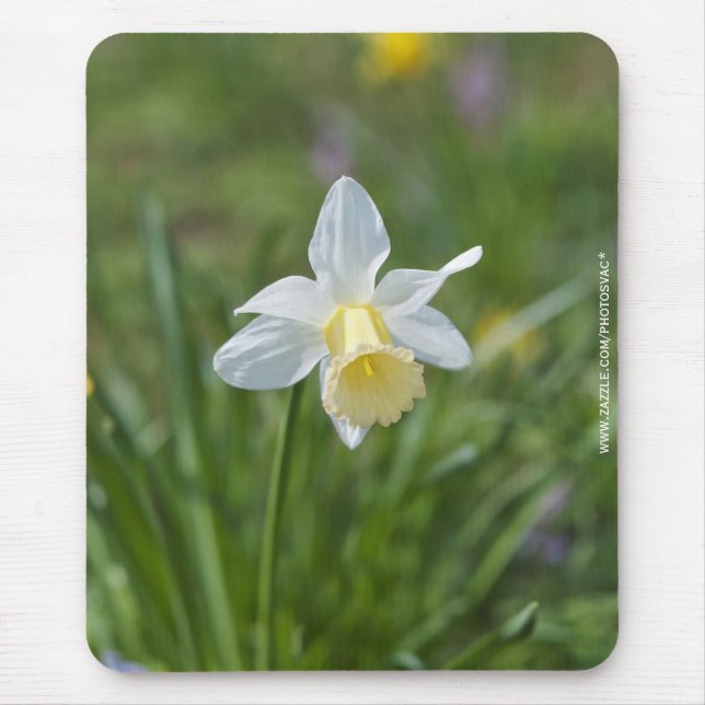 Daffodil Mouse Pad (Front)