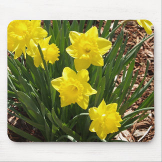 Daffodil Mousepad