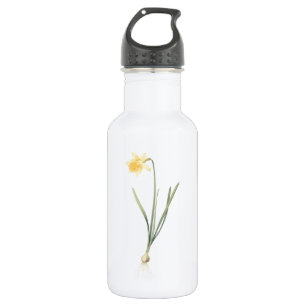 daffodil(Narcissus pseudo-narcissus) by Redouté Stainless Steel Water Bottle