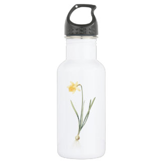 daffodil(Narcissus pseudo-narcissus) by Redouté Stainless Steel Water Bottle