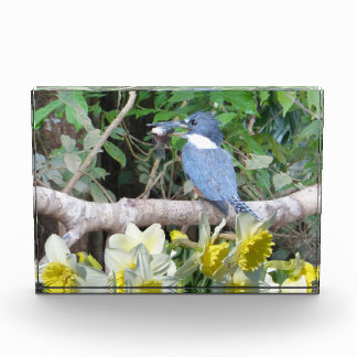 Daffodil Photo Block