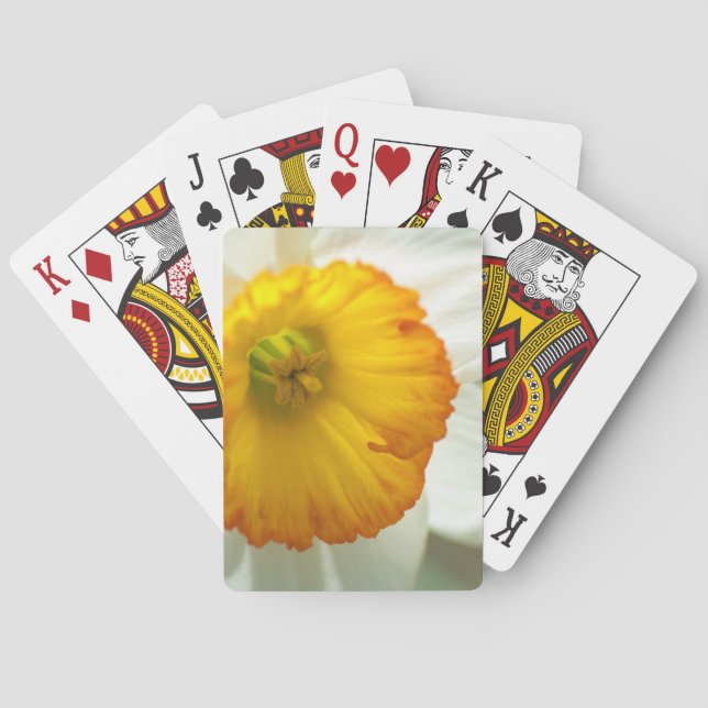 Daffodil Poker Cards (Back)