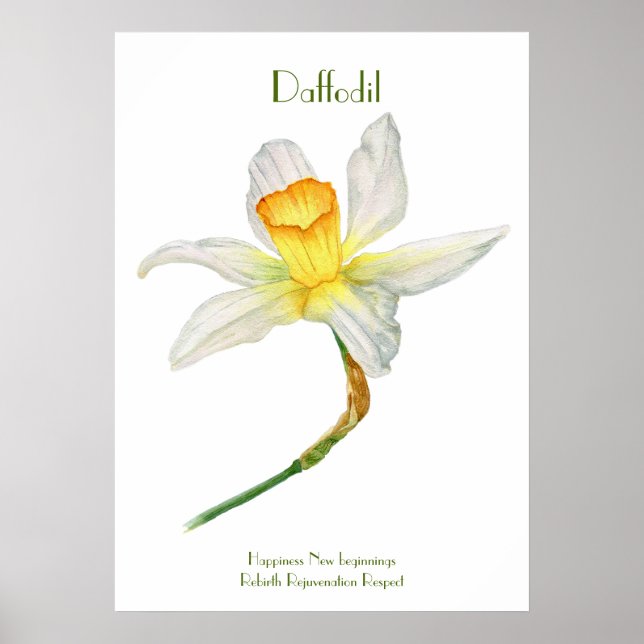 Daffodil Print, Value Poster Paper (Matte) (Front)