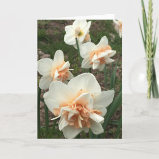 Daffodil Spring Greeting Card