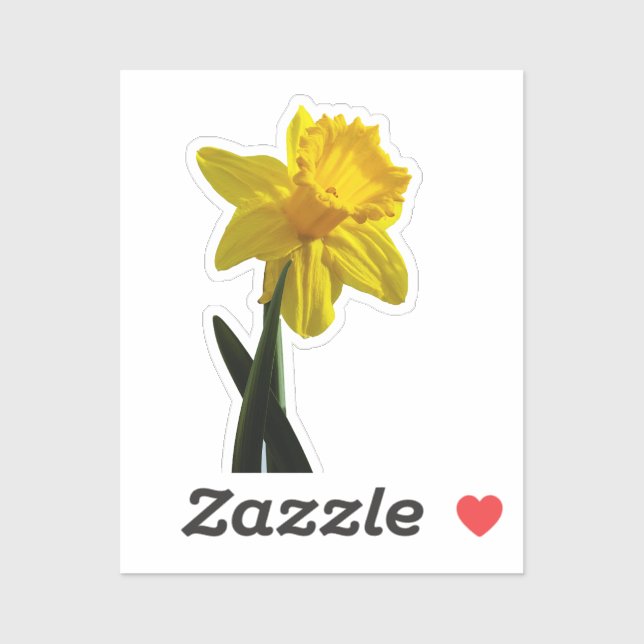 Daffodil  sticker (Sheet)