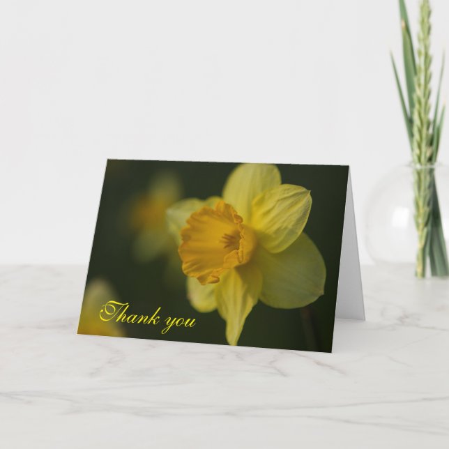 Daffodil Thank You Card (Front)