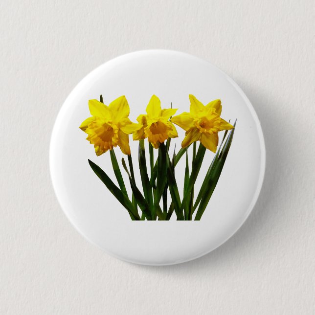 Daffodil Trio Pinback Button (Front)