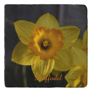 Daffodil Trivet