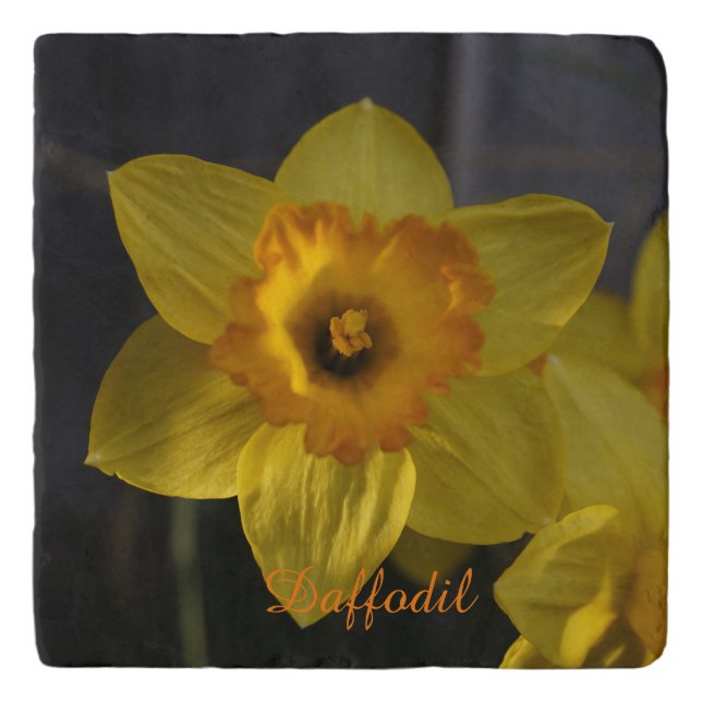 Daffodil Trivet (Front)