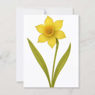 Daffodil — Unequalled love, sunshine Postcard