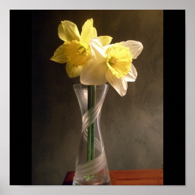 daffodil Vase Poster (Front)