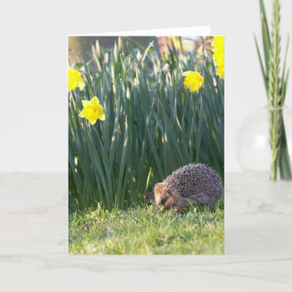 Daffodil Walkabout Greeting Card