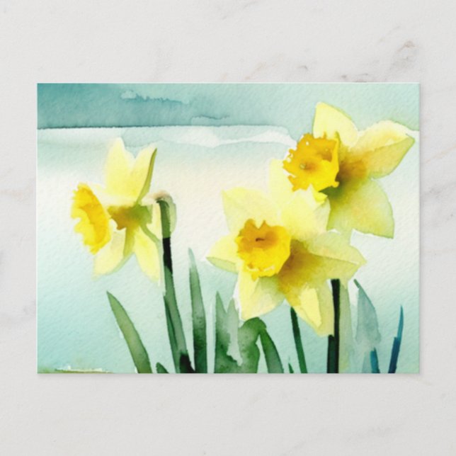 Daffodil Watercolour Postcard (Front)