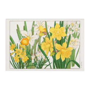 Daffodil Woodblock Painting, Tanigami Kônan, 1917 Acrylic Print