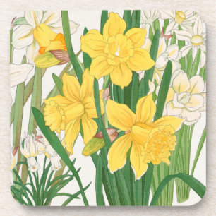 Daffodil Woodblock Painting, Tanigami Kônan, 1917 Beverage Coaster