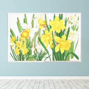 Daffodil Woodblock Painting, Tanigami Kônan, 1917 Canvas Print