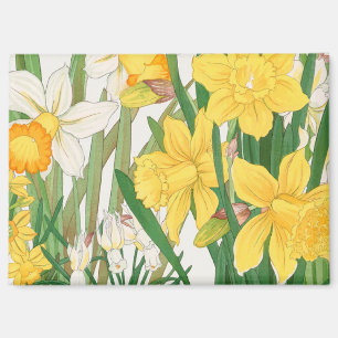 Daffodil Woodblock Painting, Tanigami Kônan, 1917 Magnet