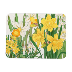 Daffodil Woodblock Painting, Tanigami Kônan, 1917 Magnet