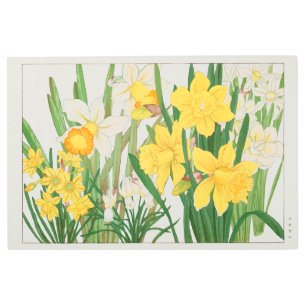 Daffodil Woodblock Painting, Tanigami Kônan, 1917 Metal Print