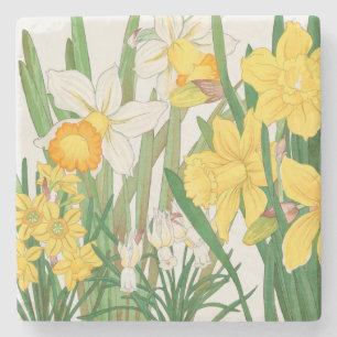 Daffodil Woodblock Painting, Tanigami Kônan, 1917 Stone Coaster