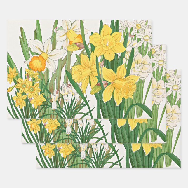 Daffodil Woodblock Painting Wrapping Paper Sheets (Set)