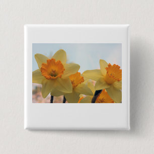 Daffodills Pinback Button