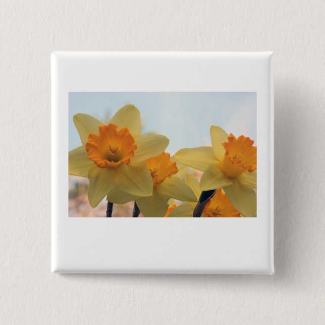 Daffodills Pinback Button (Front)
