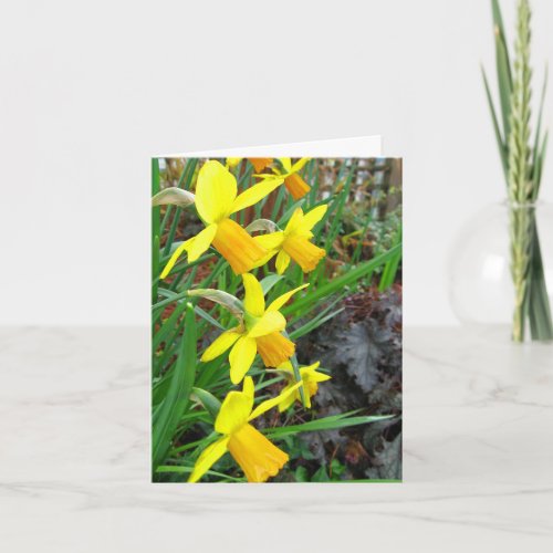Daffodils and Birds Note Card